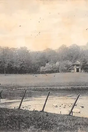 Premium Alkmaar Hertenkamp 1912 HC49358