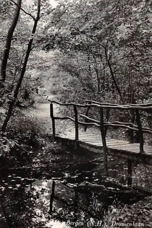 Bergen (NH) Dromenlaan met houten' bruggetje 1959 HC48778 Wyprzedaż