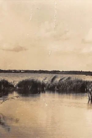 Autentyczny Hilversum Waschmeer HC47597