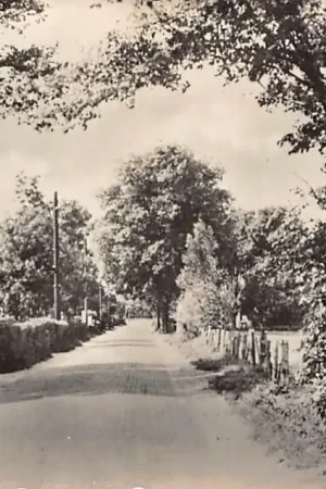 Schoorl BregtdorpHC47291 Nowość