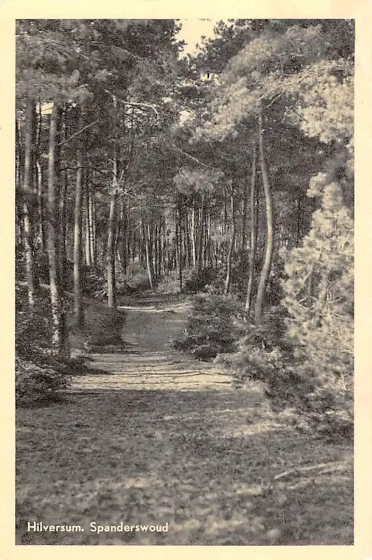 Hilversum Spanderswoud 1951 HC47134 Tani