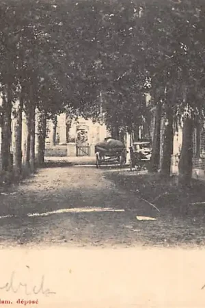 Bergen (NH) 1904 HC46918 Szybka dostawa