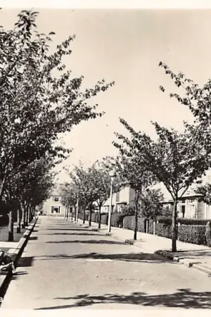 Castricum Jacob Catsstraat 1953 HC46165 Szybka dostawa