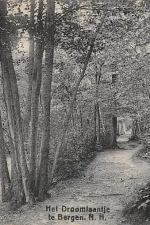 Bergen (NH) Het Droomlaantje 1930 HC46019 Nowość