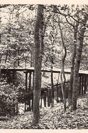 Bezpieczna płatność Hilversum Houten' Brug Spanderswoud 1932 HC45740