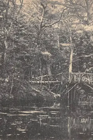Autentyczny Hilversum Spanderswoud met houten' bruggetje 1916 HC45739