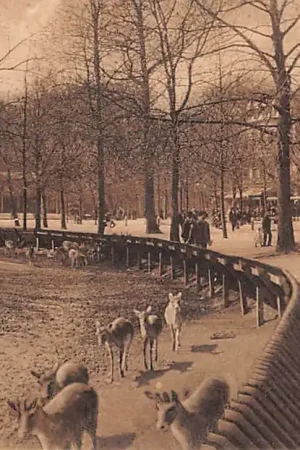 Najlepsza cena Haarlem Hertenkamp 1912 HC45700