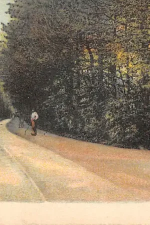 Tani Beverwijk Zeeweg 1900 HC44711