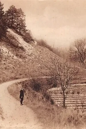 Bergen (NH) Duinrand 1931 HC44606 Wysoka jakość