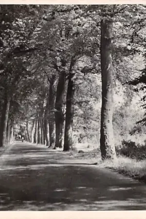 Bergen (NH) Sluislaan 1951 HC42912 Popularny