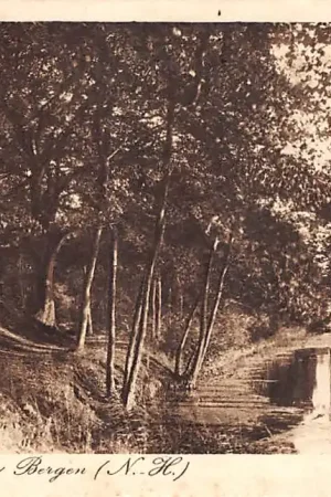 Bergen (NH) De Kattenberg HC42903 Oryginalny