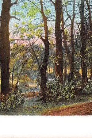 Promocja Bloemendaal Beeklaan 1906 Haarlem HC43231