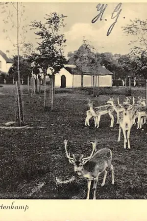 Darmowa dostawa Bergen (NH) Hertenkamp 1938 HC43159