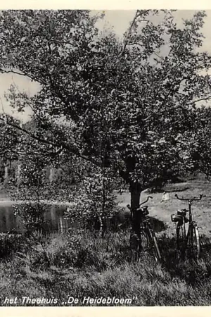 Laren (NH) Kommetje nabij het Theehuis De Heidebloem 1933 HC42391 Oryginalny