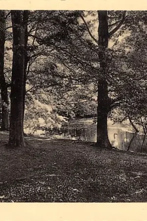 Ostatnia szansa Hilversum Spanderswoud 1934 HC42388