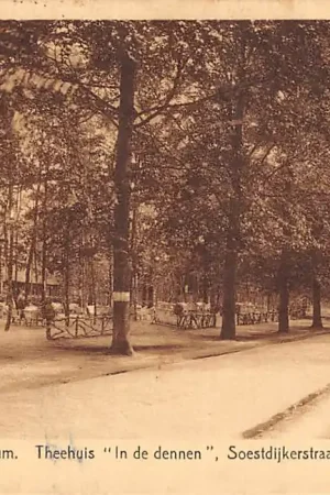 Ostatnia szansa Hilversum Soestdijkerstraatweg Theehuis In de dennen 1932 HC42210