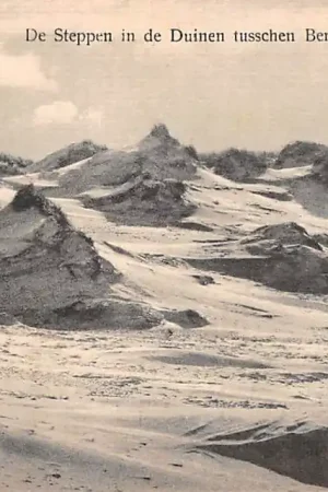 De Steppen in de Duinen tusschen Bergen (NH) en Schoorl HC40785 Oferta