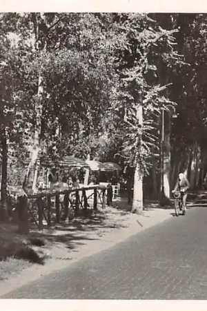 Autentyczny Schoorl Duinweg 1952 HC42435