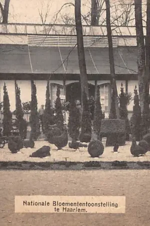 Haarlem Nationale Bloemen tentoonstelling 1910 HC38682 Wyprzedaż