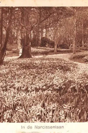 Kup teraz Heemstede Internationale Voorjaars-Bloemententoonstelling In de Narcissenlaan 1925 HC37781