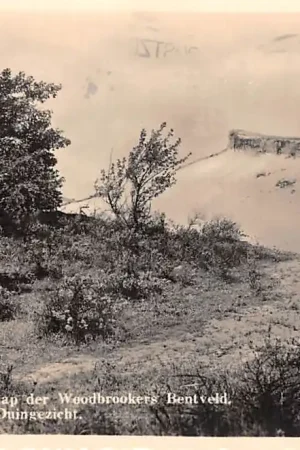 Bentveld Arbeidersgenootschap der Woodbrookers Duingezicht 1934 Zandvoort Bloemendaal HC37695 Tylko dziś