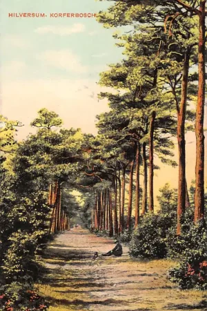 Hilversum Korferbosch 1911 HC37679 Zwrot pieniędzy