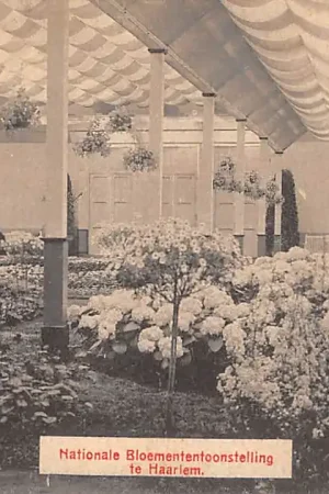 Autentyczny Haarlem Nationale Bloemententoonstelling 1910 HC37587