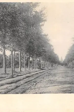 Promocja Laren (NH) Weg naar Blaricum 1900 HC37375