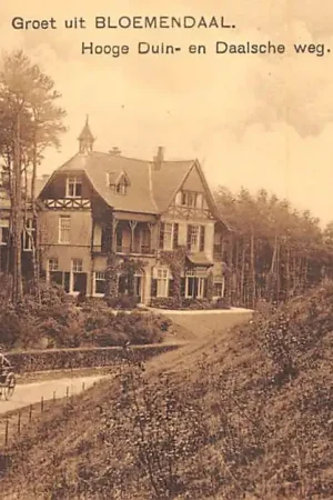Bloemendaal Groet uit 1915 Hooge Duin- en Daalsche weg Nauta 6900 Haarlem HC37360 Premium