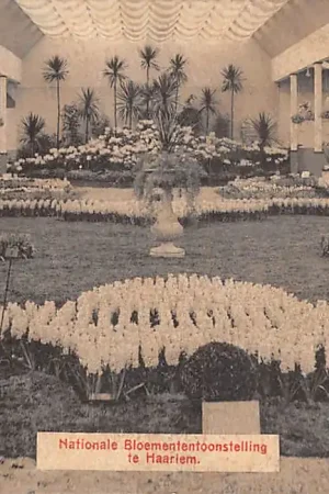 Zwrot pieniędzy Haarlem Nationale Bloemententoonstelling HC37291
