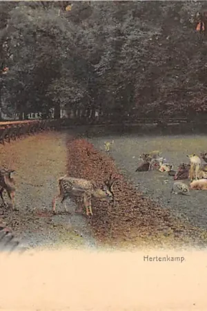 Haarlem Hertenkamp 1900 HC35842 Ostatnia szansa