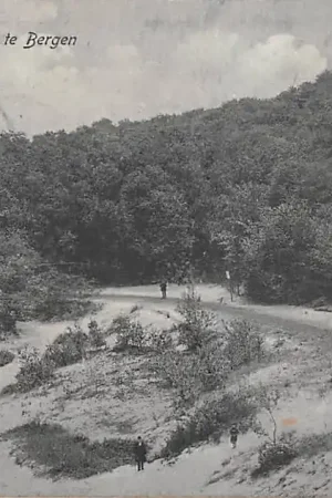 Tylko dziś Bergen (NH) Ingang Duinen 1910 HC35811