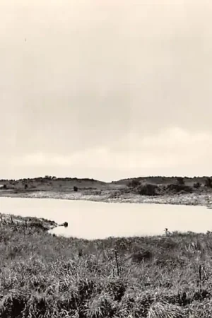 Promocja Aerdenhout Infriltatiegebied Winplaats der Amsterdamse Duinwaterleiding Bloemendaal HC34942