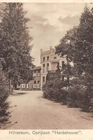 Wysoka jakość Hilversum Oprijlaan Heideheuvel 1930 HC34907