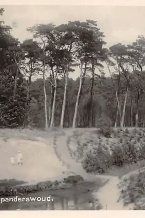 Premium Hilversum Spanderswoud 1932 HC33580