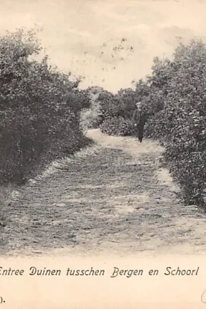 Bergen (NH) Entree Duinen tusschen Bergen en Schoorl 1906 HC32664 Bezpieczna płatność