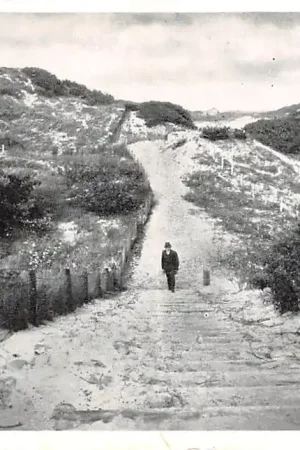 Bergen (NH) In de duinen HC32169 Nowość