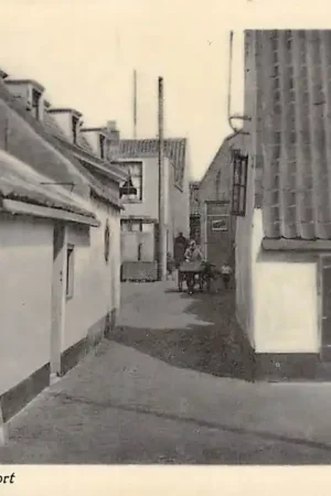 Zandvoort Steegje in Oud-Zandvoort Hondenkar HC31713 Tylko dziś