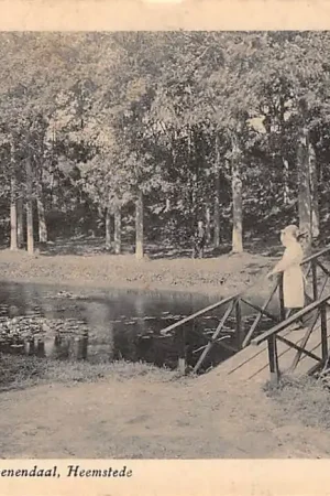 Heemstede Brug Waterlelievijver Groenendaal HC32339 Popularny