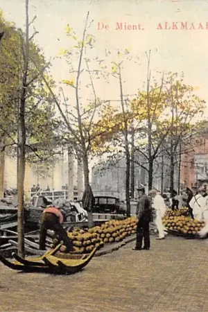 Darmowa dostawa Alkmaar De Mient 1914 HC32332