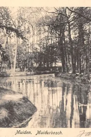 Muiden Muiderbosch 1924 HC32390 Kup teraz