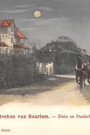 Bloemendaal Omstreken Haarlem Duin en Daalsche weg Paard en wagen HC31576 Rabat