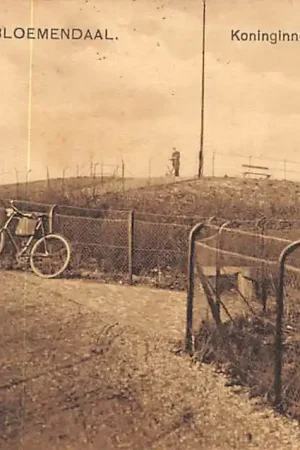 Zamów teraz Bloemendaal Koninginneduin Haarlem 1911 Nauta 5902 HC31056