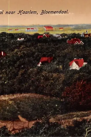 Oryginalny Bloemendaal Gezicht over Duin en Daal naar Haarlem HC31055