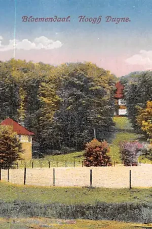 Bloemendaal Hoogh Duyne Haarlem HC31054 Popularny