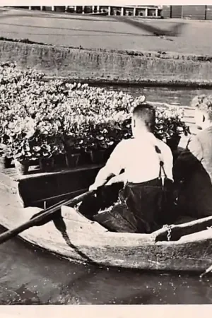 Aalsmeer Vervoer van bloemen per punter naar de Veiling 1954 Haarlemmermeer HC30965 Zamów teraz
