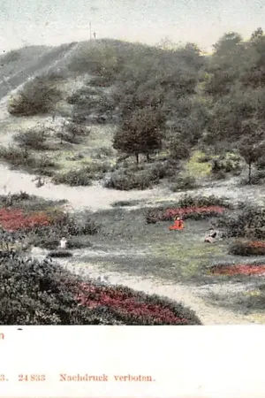 Najlepsza cena Schoorl Lage Duinen 1903 HC30951