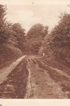 Zamów teraz Blaricum de Drift 1928 HC30805