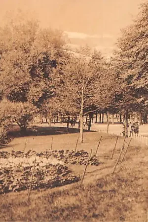 Amsterdam Sarpahatipark 1912 HC29989 Zwrot pieniędzy