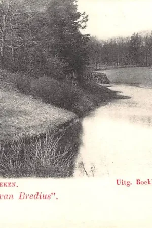 Bussum Bussum's Omstreken Vijver in het Bosch van Bredius 1900 HC29836 Zamów teraz